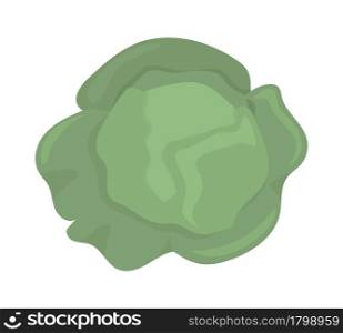 Fresh cabbage semi flat color vector object. Full sized item on white. Green variety. Annual vegetable crop isolated modern cartoon style illustration for graphic design and animation. Fresh cabbage semi flat color vector object