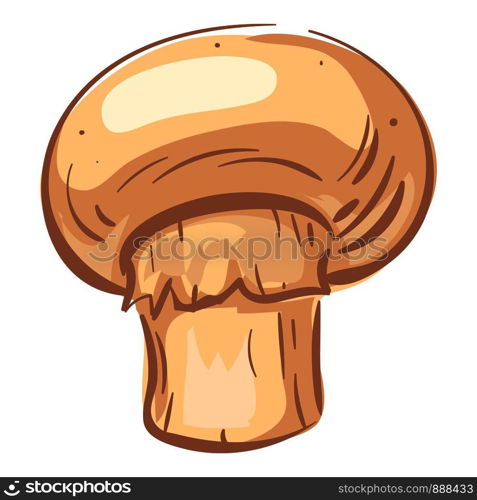 Fresh champignon icon. Cartoon of fresh champignon vector icon for web design isolated on white background. Fresh champignon icon, cartoon style