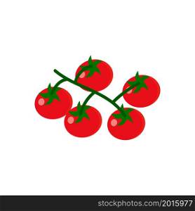 Fresh cherry tomato branches. Small vegetables on food plant. Flat vector illustration isolated on white background.. Fresh cherry tomato branches. Small vegetables on food plant. Flat vector illustration isolated on white background