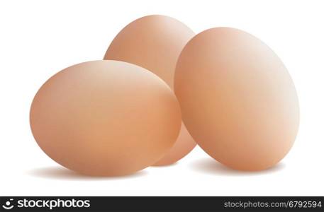 Fresh chicken eggs. Vector illustration