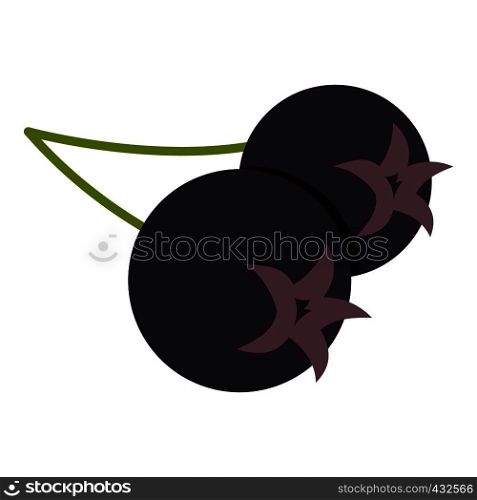 Fresh chokeberry or aronia berry icon flat isolated on white background vector illustration. Fresh chokeberry or aronia berry icon isolated