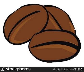 Fresh coffee beans with strong aroma which is rich vector color drawing or illustration
