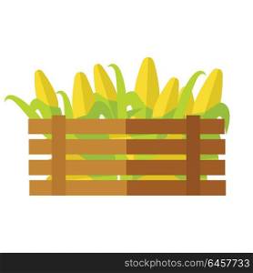 Fresh corn at the market vector. Flat style design. Delivery farm products, grocery store assortment, foods for diet concept. Illustration of wooden box full of ripe cereals. Isolated on white.. Fresh Corn at the Market Vector Illustration.