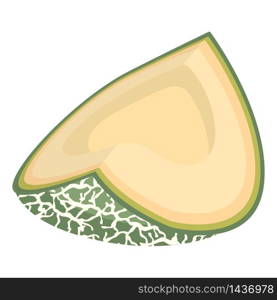 Fresh cut slice melon fruit isolated on white background. Cantaloupe melon. Summer fruits for healthy lifestyle. Organic fruit. Cartoon style. Vector illustration for any design.