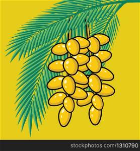 Fresh Dates on palm tree. Summer tropical fruits and palm leaves vector illustration.. Fresh Dates on palm tree. Summer tropical fruits