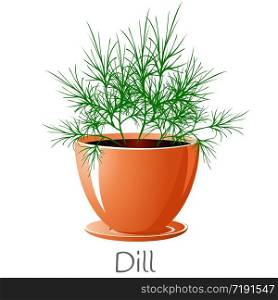 Fresh Dill herb in a flower pot. We grow herbs for cooking ourselves. Isolated on a white background. EPS 10 vector.. Fresh Dill herb in a flower pot. We grow herbs for cooking ourselves.