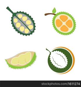 fresh Durian fruit icon,vector illustration flat design