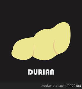 fresh Durian fruit icon,vector illustration flat design