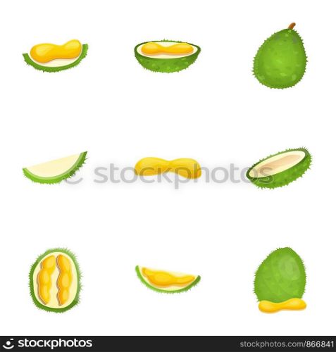 Fresh durian icon set. Cartoon set of 9 fresh durian vector icons for web design isolated on white background. Fresh durian icon set, cartoon style
