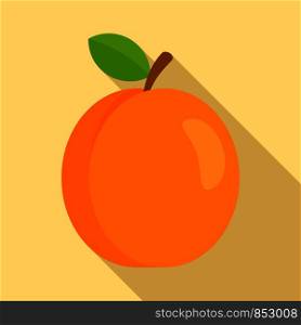 Fresh eco apricot icon. Flat illustration of fresh eco apricot vector icon for web design. Fresh eco apricot icon, flat style