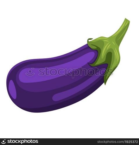 Fresh Eggplant vegetable isolated icon. Eggplant for farm market, vegetarian salad recipe design. vector illustration in flat style. Fresh Eggplant vegetable