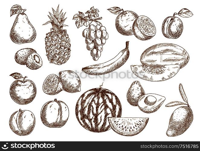 Fresh farm harvested oranges and banana, apple and mango, pineapple and peach, pear and grape, watermelon and lemons, avocado and kiwi, plum and melon fruits. For agriculture harvest, kitchen interior accessories and retro fashioned recipe book design. Farm fruits isolated sketches set