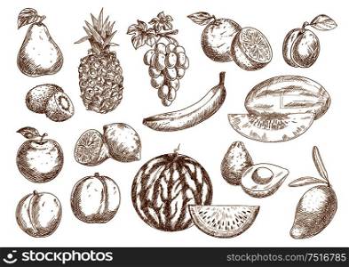 Fresh farm harvested oranges and banana, apple and mango, pineapple and peach, pear and grape, watermelon and lemons, avocado and kiwi, plum and melon fruits. For agriculture harvest, kitchen interior accessories and retro fashioned recipe book design. Farm fruits isolated sketches set