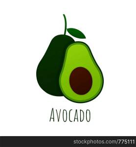 Fresh fruit avocado. Realistic vector avocados illustration. Whole and cut avocado