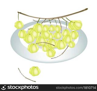 Fresh Fruits, An Illustration Collection of Fresh Star Gooseberries With Stem and Green Leaves on A Beautiful white Dish