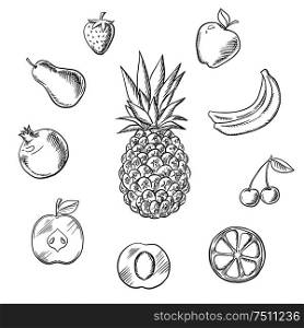 Fresh fruits and berries with tropical pineapple, surrounded by whole and sliced apples, orange, apricot, lemon, bananas, pear, pomegranate, strawberry and cherry. Vector sketch. Fruits an berries sketches set