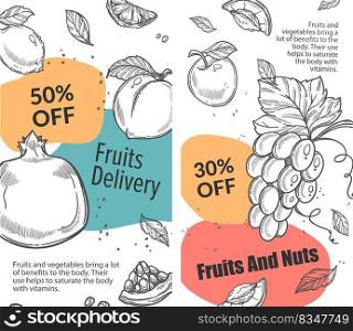 Fresh fruits and nuts, organic and natural products delivery and sale for clients. Reduction of price up to 30 percent. Poster with grapes and pomegranate, peach and apples. Vector in flat style. Fruits and nuts delivery, fresh and organic food