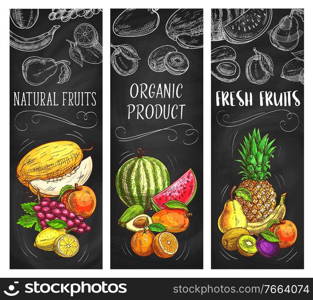 Fresh fruits vector sketch banners, natural pineapple, lemon, apricot or grapes with melon. Tropical kiwi, banana and watermelon with avocado. Hand drawn eco farm organic products exotic assortment. Fresh fruits vector sketch banners, natural food