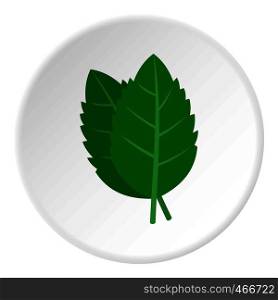 Fresh green basil leaves icon in flat circle isolated on white background vector illustration for web. Fresh green basil leaves icon circle