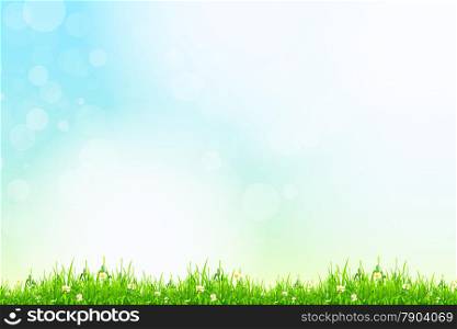 Fresh green grass with blue bokeh and sunlight. Beauty natural background
