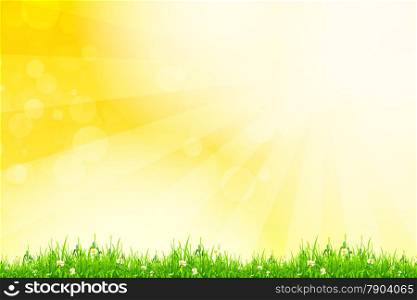 Fresh green grass with yellow bokeh and sunlight. Beauty natural background
