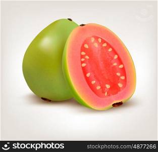 Fresh green Guava fruit. Vector.