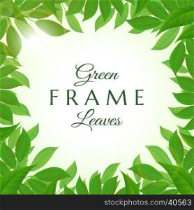 Fresh green leaves frame. Fresh and lush green leaves frame vector illustration