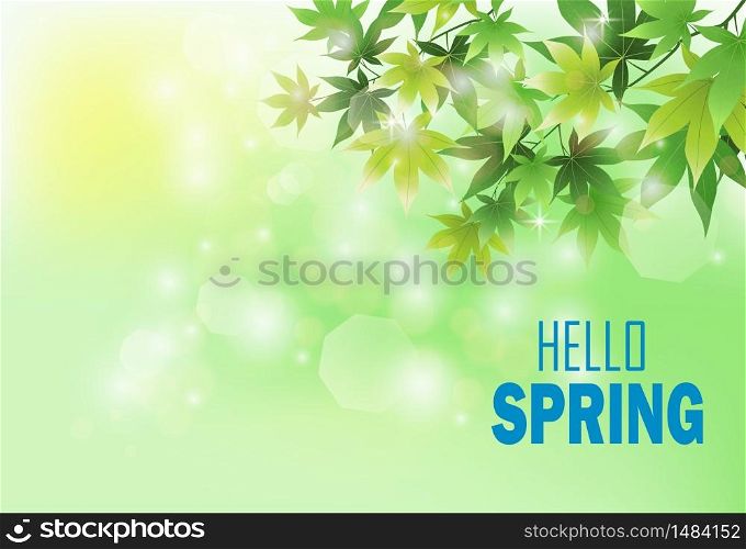 Fresh green leaves on natural background.Vector