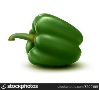 Fresh green pepper. Vector