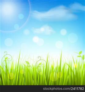 Fresh green spring meadow grass under the blue sky decorative background poster print vector illustration
