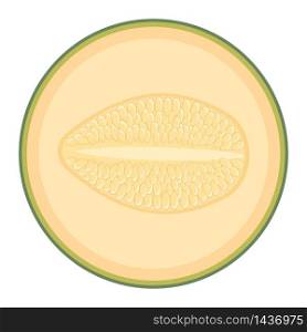 Fresh half melon fruit isolated on white background. Cantaloupe melon. Summer fruits for healthy lifestyle. Organic fruit. Cartoon style. Vector illustration for any design.
