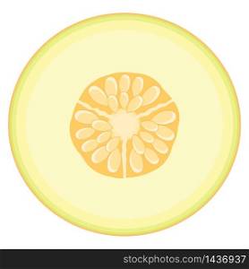 Fresh half melon fruit isolated on white background. Honeydew melon. Summer fruits for healthy lifestyle. Organic fruit. Cartoon style. Vector illustration for any design.