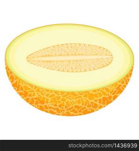 Fresh half melon fruit isolated on white background. Honeydew melon. Summer fruits for healthy lifestyle. Organic fruit. Cartoon style. Vector illustration for any design.