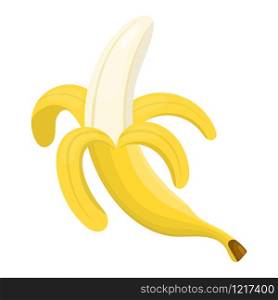 Fresh half peeled banana isolated on white background. Yellow cartoon banana for market, recipe design. Sweet organic food. Vector illustration for any design.