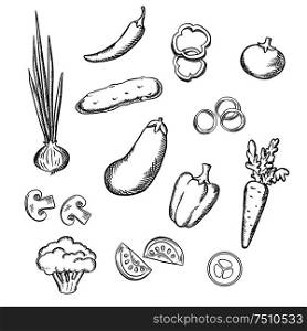 Fresh healthful tomato, carrot, cucumber, eggplant, onion, mushroom, chilli, bell peppers and broccoli vegetables. Sketch icons for vegetarian food, recipe book or agriculture design. Sketch of fresh whole and sliced vegetables