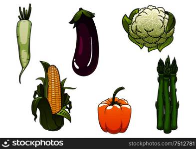 Fresh healthy corn cob, orange bell pepper, eggplant, cauliflower, daikon and asparagus vegetables, for vegetarian food or agriculture harvest theme. Isolated on white. Fresh healthy isolated farm vegetables