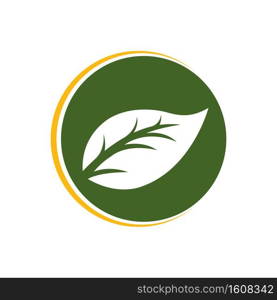 fresh leaf logo,vector illustration template design