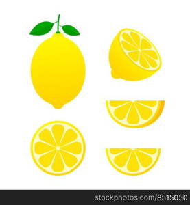 Fresh lemon fruits, collection of vector illustrations.. Fresh lemon fruits, collection of vector illustrations