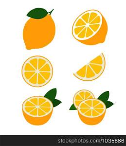 Fresh lemon fruits collection of vector illustrations isolated on white. resh lemon fruits collection of vector illustrations