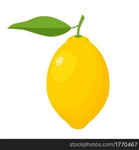 Fresh lemon fruits with leaves. A whole lemon. Yellow citrus isolated on white background. lemon icon for lemonade juice, vitamin C. Vector illustration in flat style. Fresh lemon fruits with leaves.
