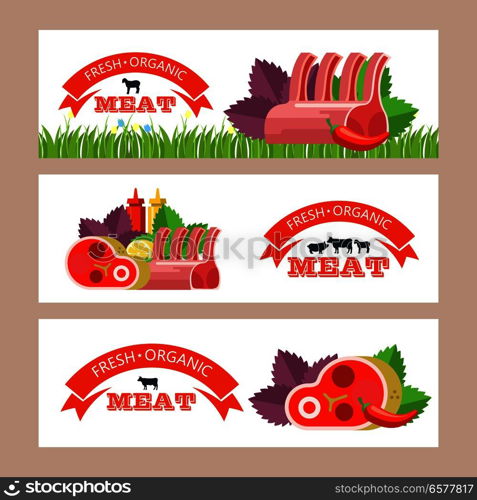 Fresh meat. Vector illustration. Environmentally friendly product. Agricultural products. Set of different meat products.