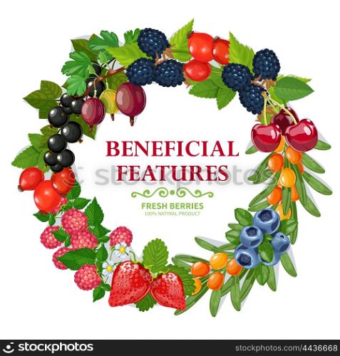 Fresh Natural Berries Wreath Decorative Frame . Fresh wild and garden harvested berries wreath natural colorful decorative frame background print abstract vector illustration