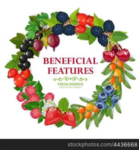 Fresh Natural Berries Wreath Decorative Frame . Fresh wild and garden harvested berries wreath natural colorful decorative frame background print abstract vector illustration