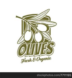 Fresh olives icon, organic food product vector symbol. Extra virgin olive oil bottle tag with green olive fruits and leaves, Italian, Greek or Mediterranean cuisine icon. Fresh olives branch, extra virgin olive oil icon