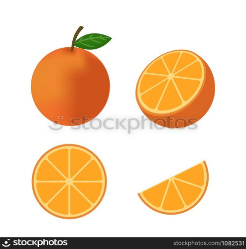 Fresh orange fruit vector isolated set on white background - Vector illustration