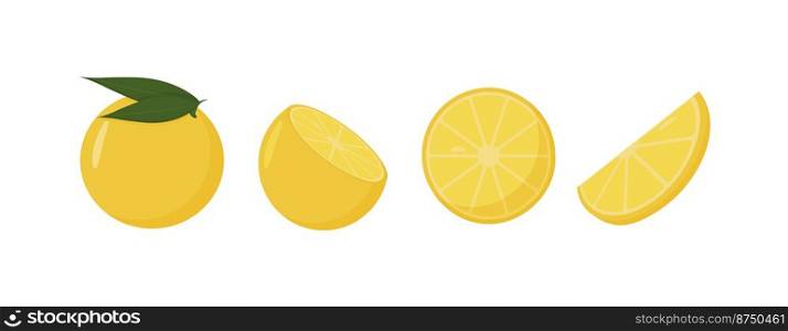 Fresh orange fruits, in different condition of vector illustrations