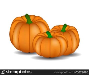 Fresh Orange Pumpkin Isolated on White Background Vector Illustration