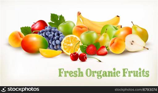 Fresh Organic Fruits And Berries Isolated On White Background. Vector