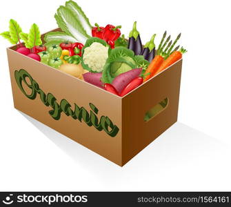 Fresh organic vegetables