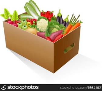 Fresh organic vegetables